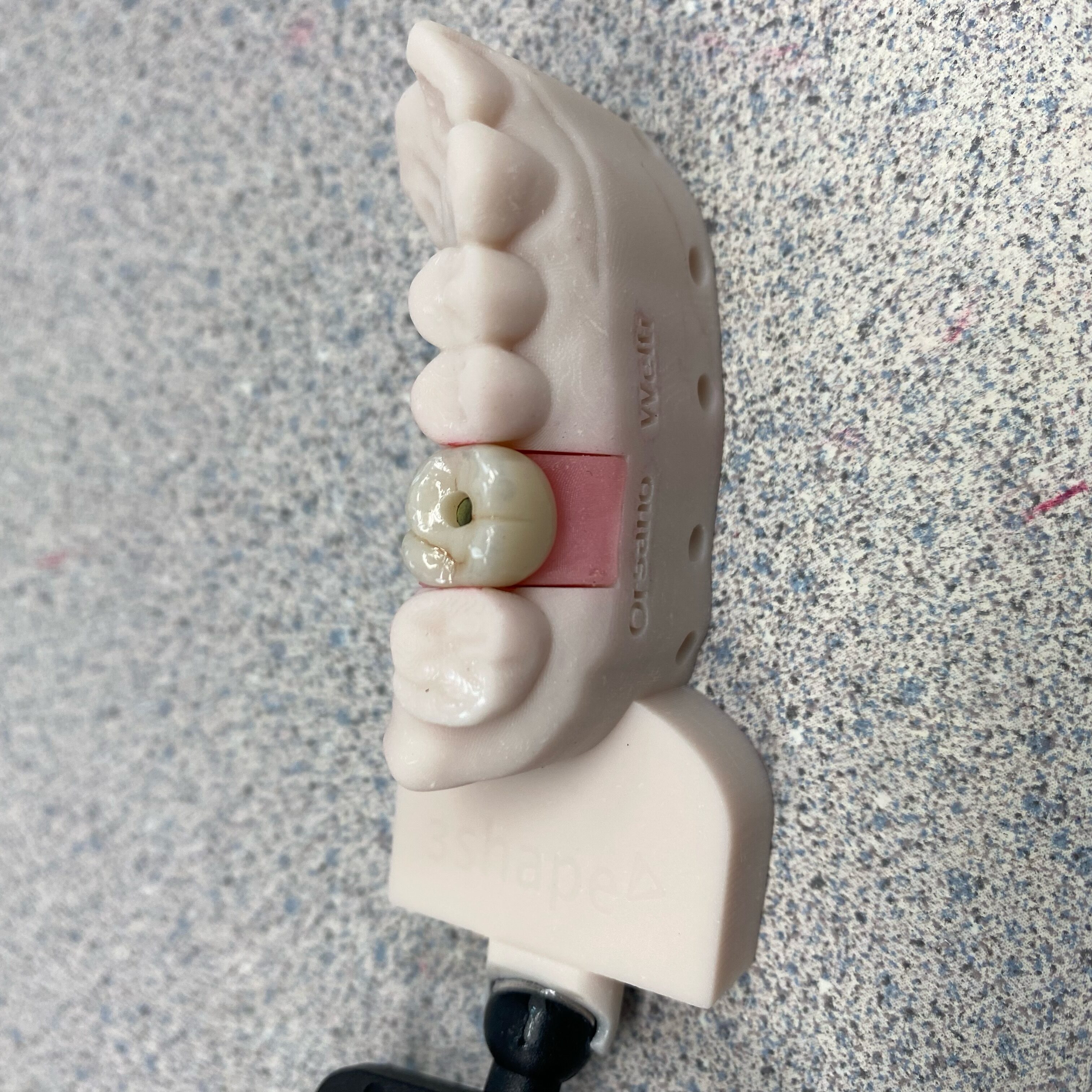 image2_1